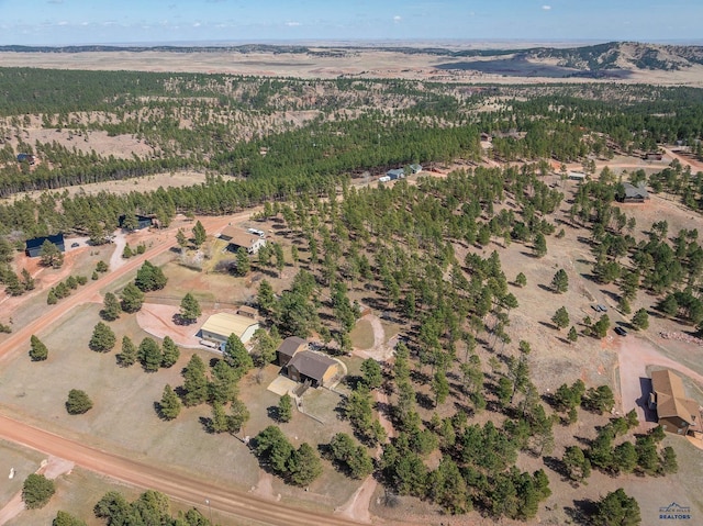 24354 Rushmore Ranch Rd, Keystone, SD 57751 - drone / aerial view