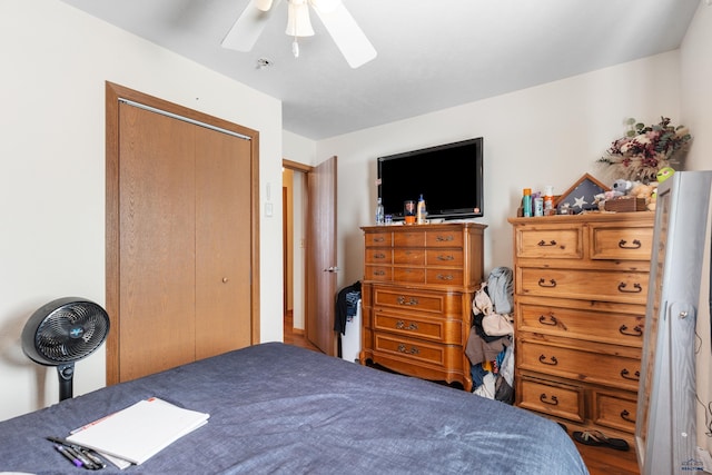 524 Mall Dr, Rapid City, SD 57701 - bedroom featuring a closet and ceiling fan