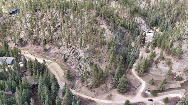 LOT1-TRACT1 George Frink Rd, Hill City, SD 57745