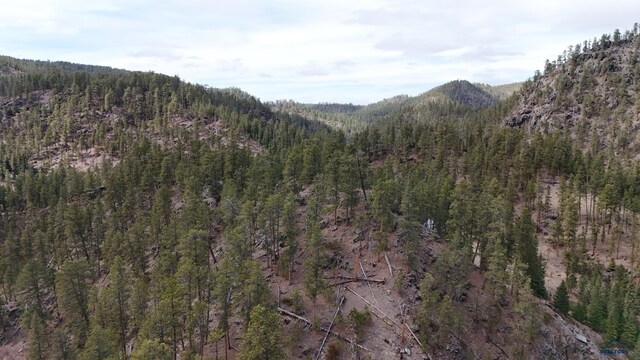 LOT1-TRACT1 George Frink Rd, Hill City, SD 57745