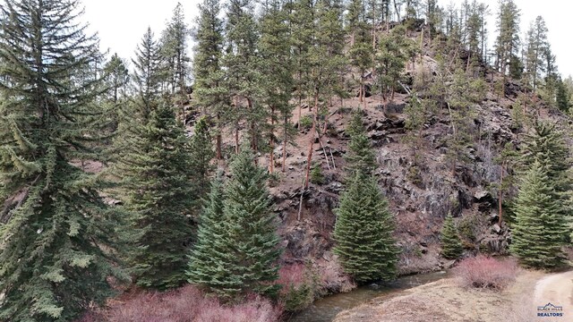LOT1-TRACT1 George Frink Rd, Hill City, SD 57745