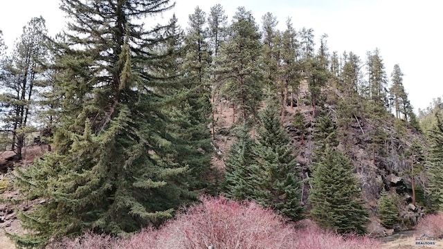 LOT1-TRACT1 George Frink Rd, Hill City, SD 57745