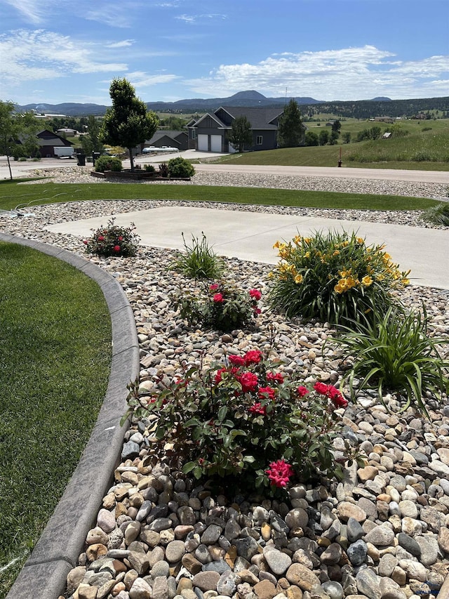 2750 Tumble Weed Trl, Spearfish, SD 57783 - view of yard with curved driveway