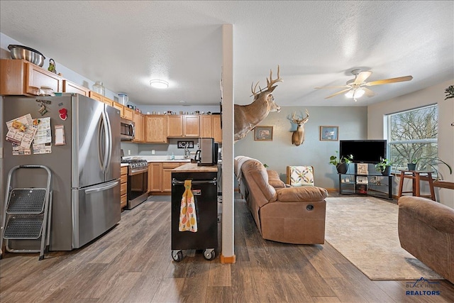 322 Summit, Belle Fourche, SD 57717 - kitchen featuring light brown cabinets, open floor plan, ceiling fan, stainless steel appliances, and dark wood-type flooring