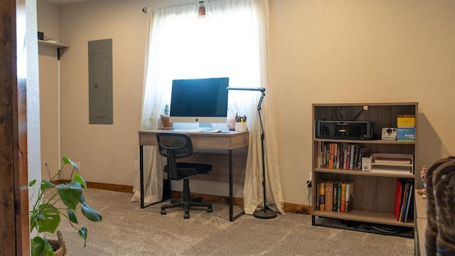 2412 Cameron Dr, Rapid City, SD 57702 - carpeted office featuring electric panel, plenty of natural light, and baseboards