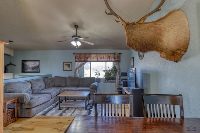 2906 Benjamin, Rapid City, SD 57703 - living area with a textured ceiling and ceiling fan