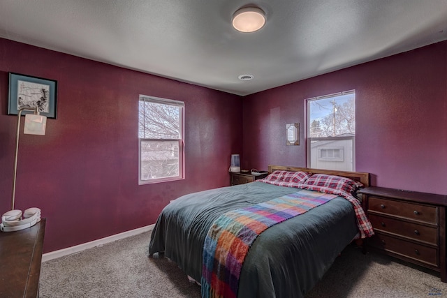 1021 Haines Ave, Rapid City, SD 57701 - bedroom with baseboards, multiple windows, and carpet flooring