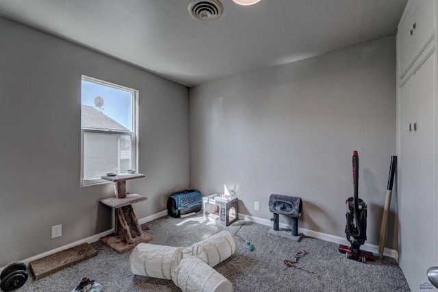 1021 Haines Ave, Rapid City, SD 57701 - miscellaneous room with baseboards, visible vents, and carpet floors