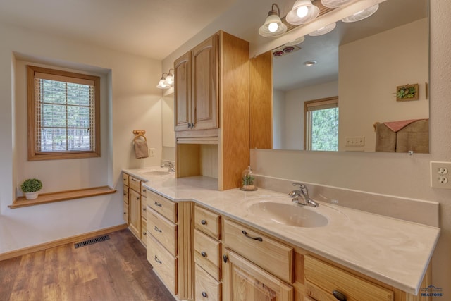 8000 Meadow View Ct, Rapid City, SD 57702 - bathroom with double vanity, visible vents, a sink, and wood finished floors