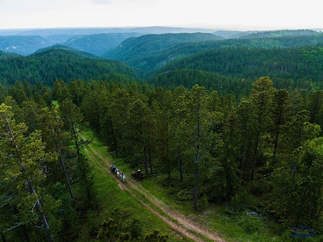 LOT61 Deer Mtn, Resort, Lead, SD 57754