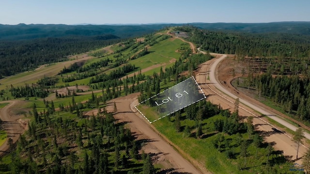 LOT61 Deer Mtn, Resort, Lead, SD 57754