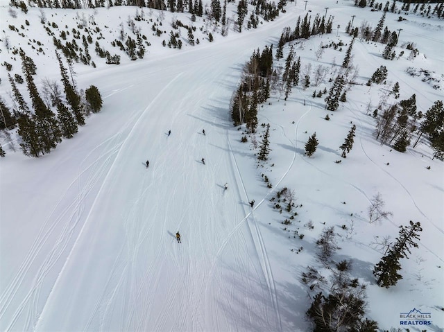 LOT61 Deer Mtn, Resort, Lead, SD 57754