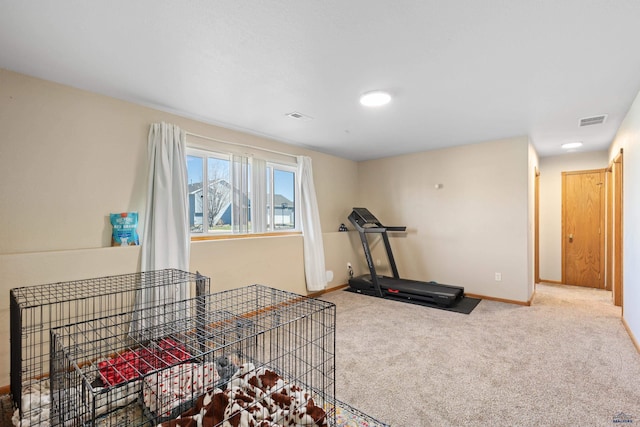 323 Freiheit Ln, Box Elder, SD 57719 - workout area with baseboards, carpet, and visible vents