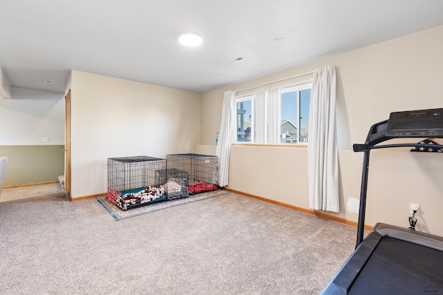 323 Freiheit Ln, Box Elder, SD 57719 - workout area with visible vents, baseboards, and carpet flooring