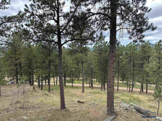 12127 Chickadee Ln, Custer, SD 57730 - view of landscape