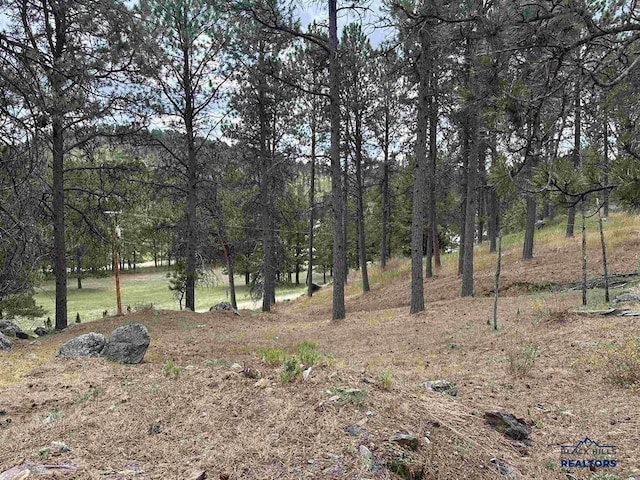 12127 Chickadee Ln, Custer, SD 57730 - view of nature