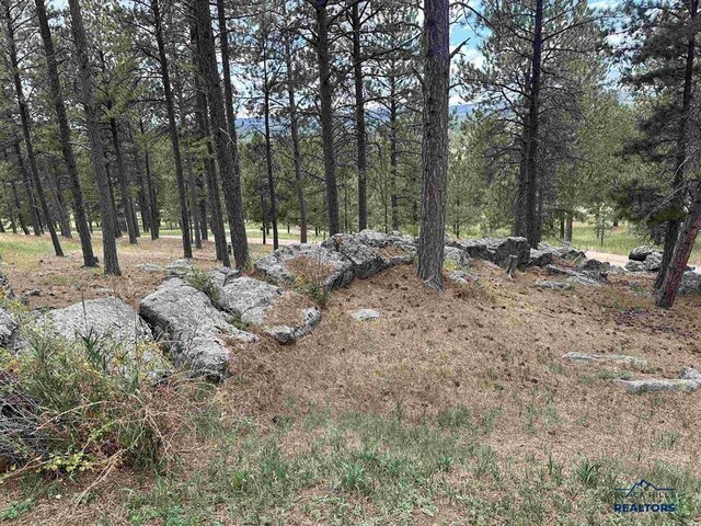 12127 Chickadee Ln, Custer, SD 57730 - view of nature