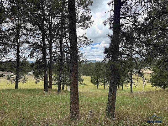 12127 Chickadee Ln, Custer, SD 57730 - view of landscape