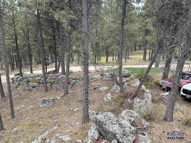 12127 Chickadee Ln, Custer, SD 57730 - view of yard