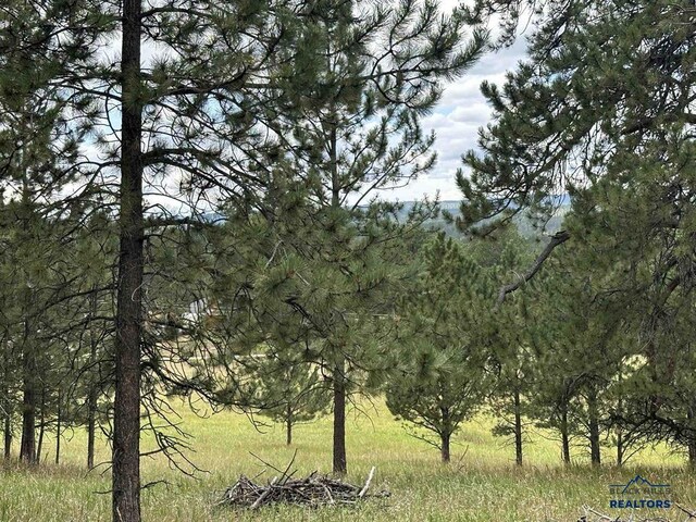 12127 Chickadee Ln, Custer, SD 57730 - view of nature
