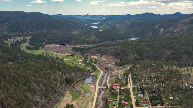 101/109 Sherman St, Rapid City, SD 57702 - birds eye view of property featuring a water and mountain view and a wooded view