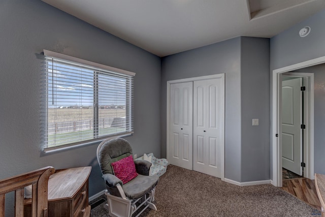living area with carpet and baseboards