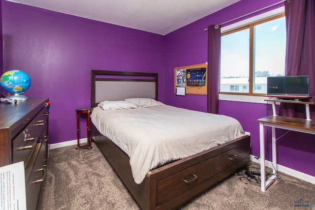 1711 Plateau Ln, Rapid City, SD 57703 - bedroom featuring baseboards and dark carpet