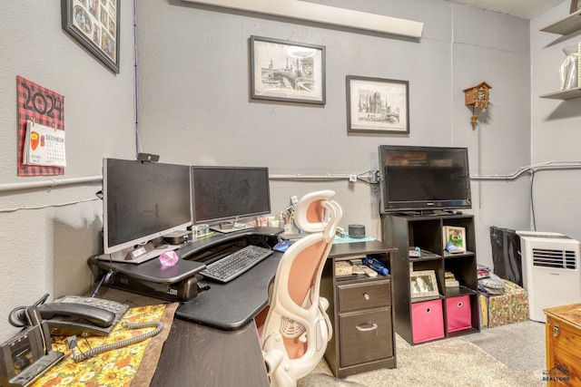 5B Statesboro, Belle Fourche, SD 57717 - home office with a textured wall