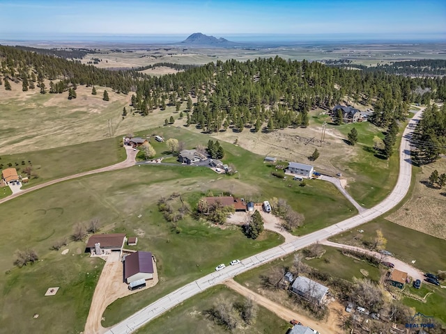 bird's eye view featuring a mountain view and a forest view