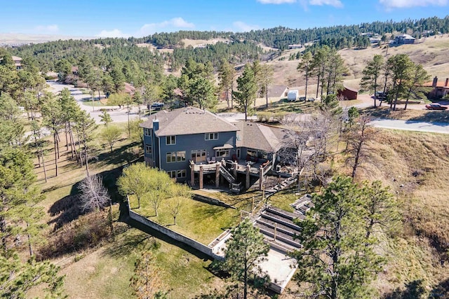 bird's eye view