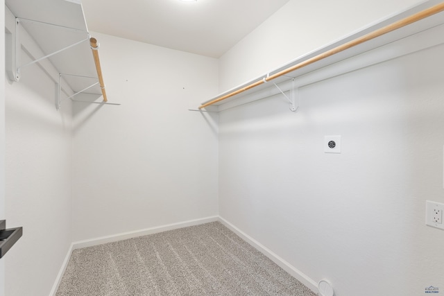 walk in closet with carpet