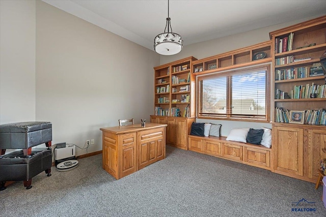 127 Union St, Spearfish, SD 57783 - view of carpeted office space