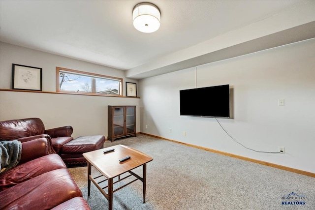 127 Union St, Spearfish, SD 57783 - living room with carpet floors and baseboards