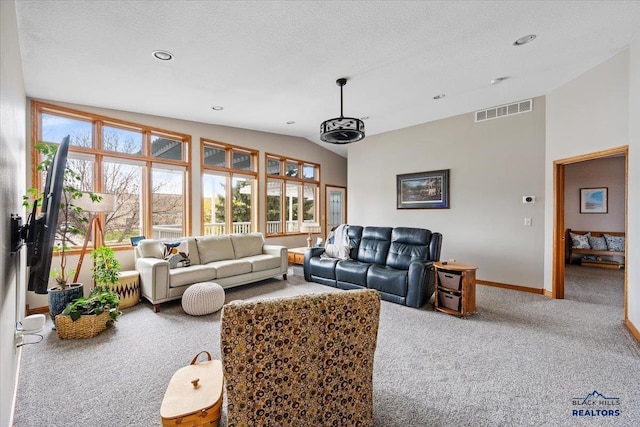 127 Union St, Spearfish, SD 57783 - carpeted living area featuring visible vents, baseboards, a healthy amount of sunlight, and vaulted ceiling