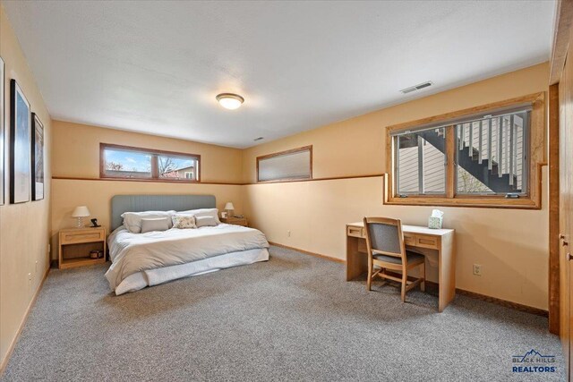 127 Union St, Spearfish, SD 57783 - bedroom featuring baseboards, carpet flooring, and visible vents
