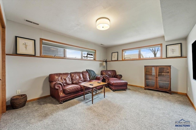 127 Union St, Spearfish, SD 57783 - carpeted living room featuring baseboards, plenty of natural light, and visible vents