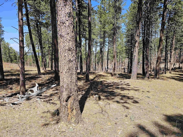200 Matterhorn Dr, Rapid City, SD 57702