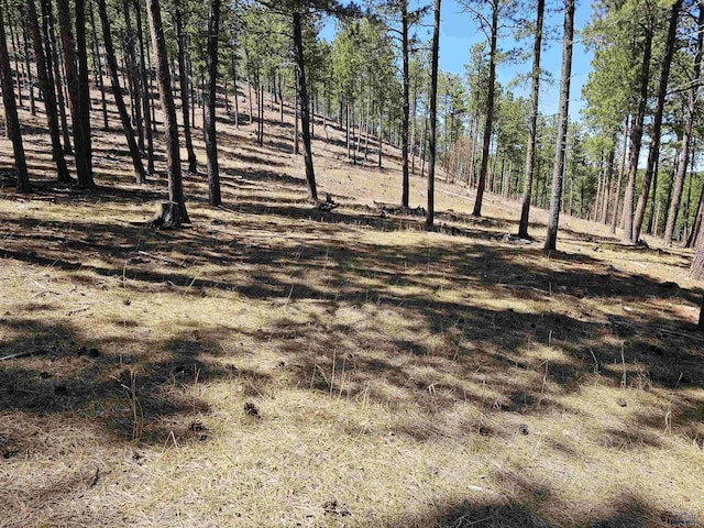 200 Matterhorn Dr, Rapid City, SD 57702