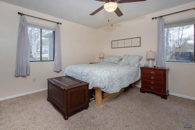 3005 Glenwood Dr, Rapid City, SD 57702 - bedroom with baseboards, multiple windows, and light colored carpet