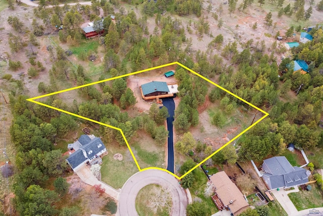 drone / aerial view