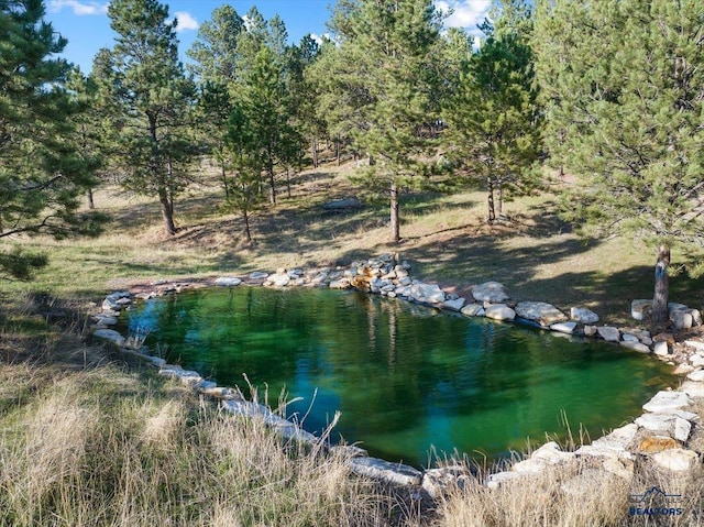 view of water feature