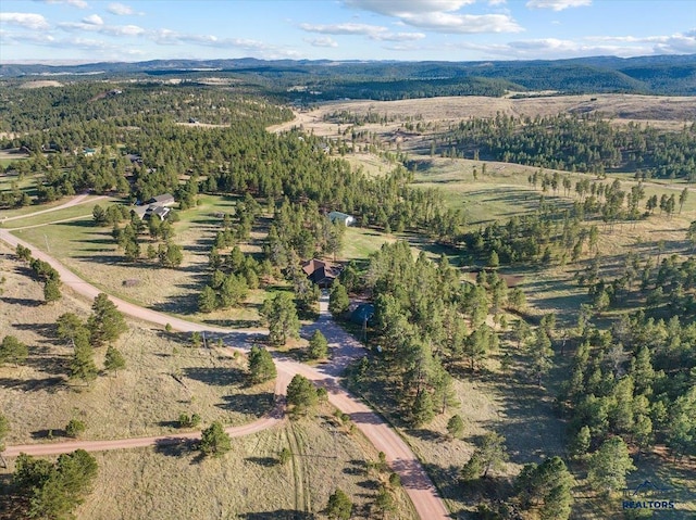 bird's eye view with a mountain view