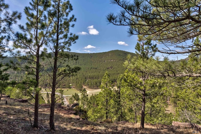 mountain view with a wooded view