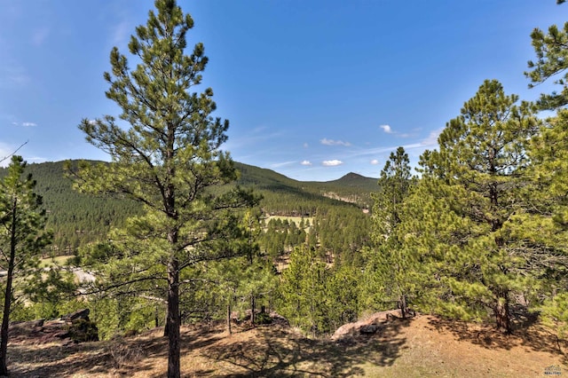 mountain view with a view of trees