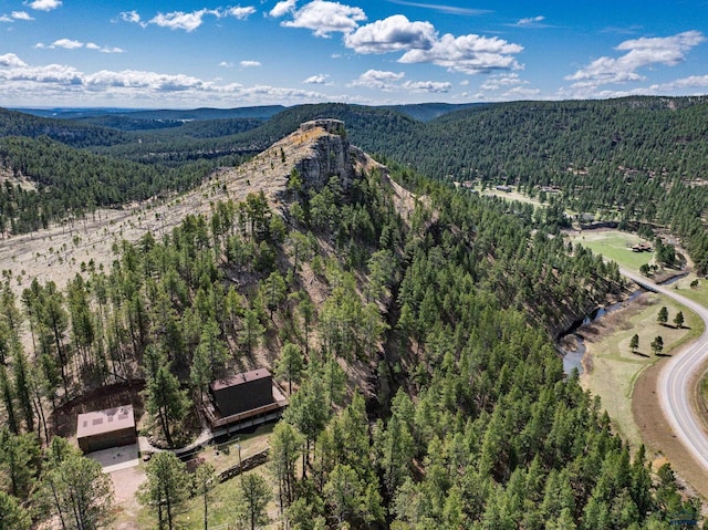 drone / aerial view with a view of trees and a mountain view