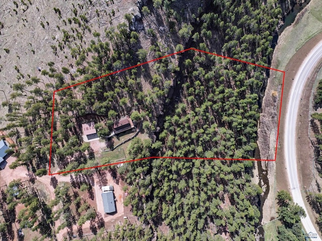 drone / aerial view