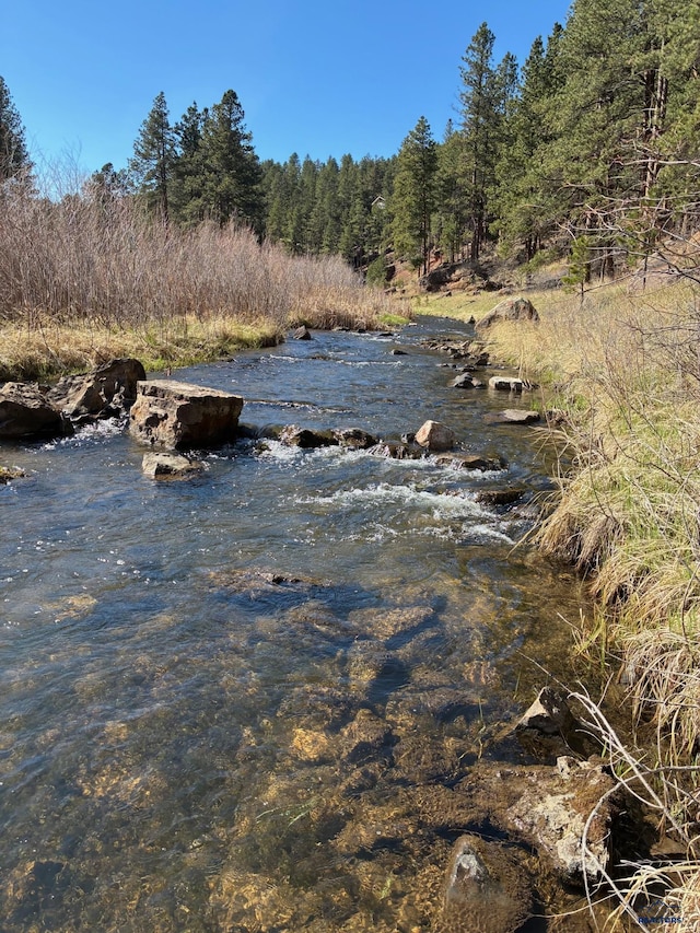 water view with a wooded view