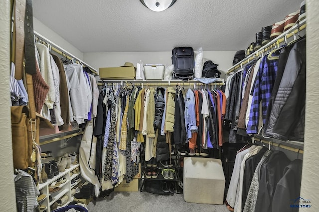 4376 Vinecliff Dr, Rapid City, SD 57701 - spacious closet with carpet