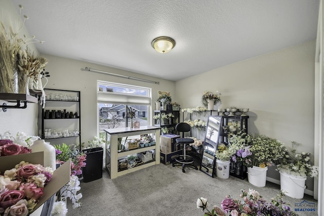 4376 Vinecliff Dr, Rapid City, SD 57701 - misc room featuring carpet floors and a textured ceiling