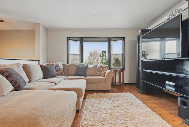 6406 Blue Spruce Ct, Black Hawk, SD 57718 - living area with wood finished floors